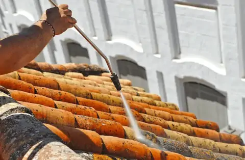 Nettoyage de toitures - Port Sainte-Foy et Ponchapt